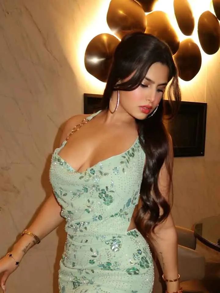 High-Class Delhi Escort